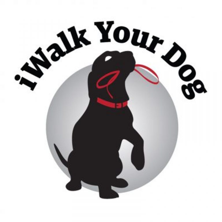 Puppy School Castle Hill Iwalkyourdog au puppy-school-castle-hill-iwalkyourdog-au